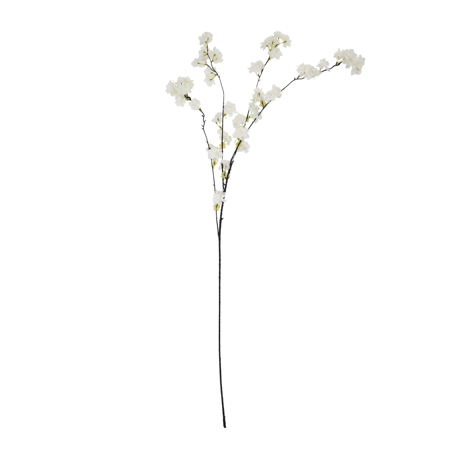 Large White Cherry Blossom Stem