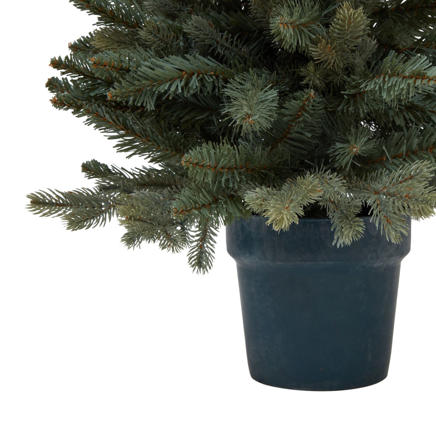 Medium Fir Tree In Pot