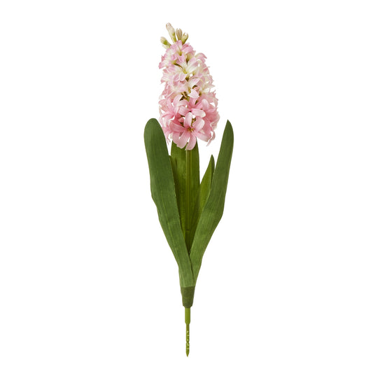 Pink Hyacinth Stem