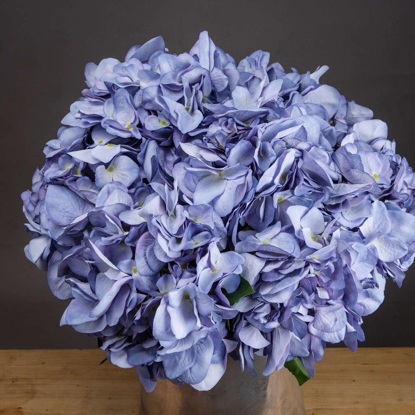 Lilac Hydrangea