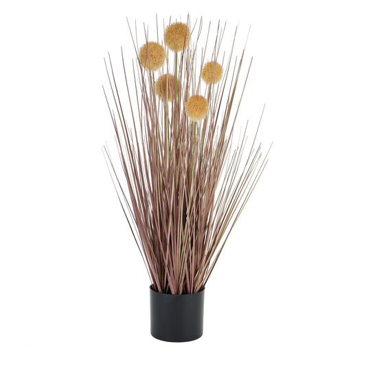 Coffee Pompom Alliums In Black Pot